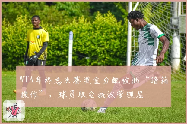 WTA年终总决赛奖金分配被批“暗箱操作”，球员联合抗议管理层
