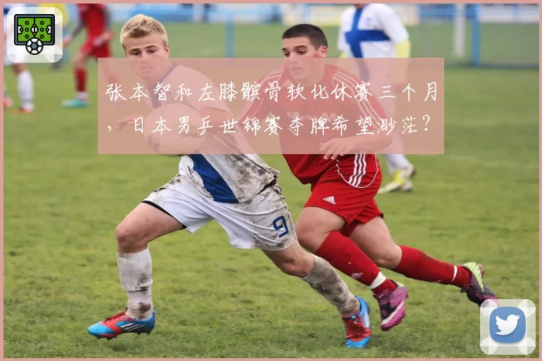 张本智和左膝髌骨软化休赛三个月，日本男乒世锦赛夺牌希望渺茫？